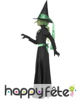 Déguisement méchante sorcière, image 1