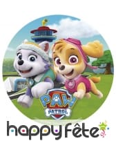 Disque Pat Patrouille de 20cm en azyme, image 1