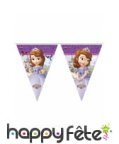 Décos princesse Sofia pour anniversaire, image 16