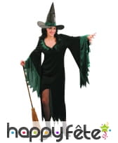Déguisement robe sorcière noire et verte