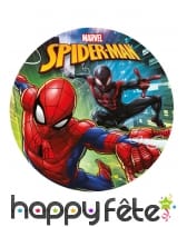 Disque Spiderman de 20cm en sucre