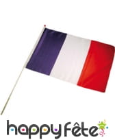 Drapeau sur hampe de 80 x 120cm, image 2