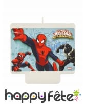 Déco Spiderman pour anniversaire, image 6