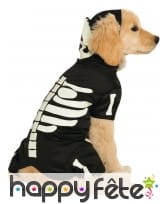 Déguisement squelette phosphorescent pour chien