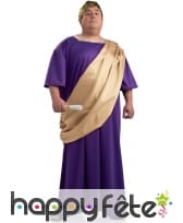 Déguisement violet de sénateur romain