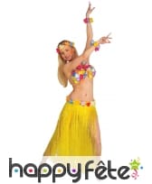 Ensemble de danseuse Hawaïenne, image 1