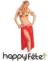 Ensemble de danseuse Hawaïenne, image 2