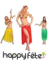 Ensemble de danseuse Hawaïenne