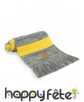 Echarpe de Norbert Dragonneau