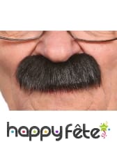 Epaisses fausses moustaches noires