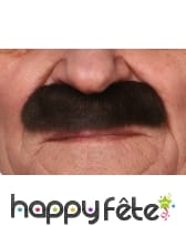 Epaisses moustaches brunes