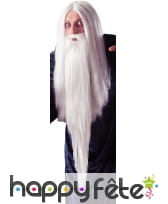 Fausse Barbe de magicien
