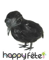 Faux Corbeau décoratif de 20cm