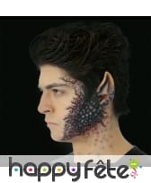 Fausses grandes oreilles pointues