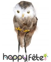 Faux hibou, image 2