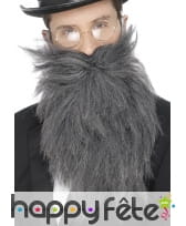 Fausse longue barbe avec moustaches grises