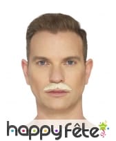 Fausse moustache du professionnel, image 1