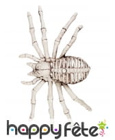 Faux Squelette d'araignée 24cm