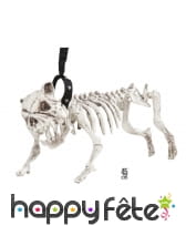 Faux squelette de chien méchant, 45cm