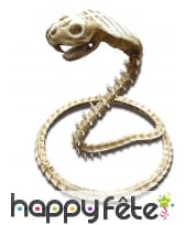 Faux squelette de cobra, 50cm