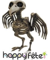 Faux squelette de corbeau 21cm