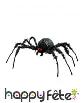 Grande araignée noire aux yeux rouges, 43 x 46 cm