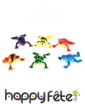 Grenouille lance eau, image 1