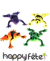 Grenouille lance eau