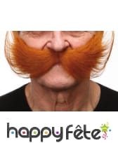 Grosses moustaches américaines rousses