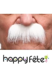 Grosses moustaches blanches de papy