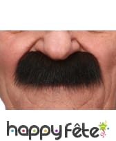 Grosses moustaches brunes de papy