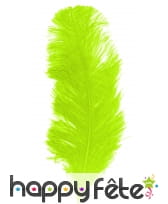 Grande plume anis d'autruche 25/32cm