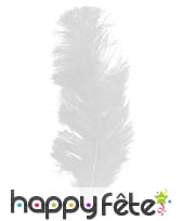 Grande plume d'autruche blanche 25/32cm