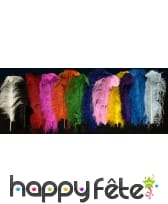 Grande plume d'autruche de 50 cm