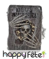 Grimoire squelette recouvert de toile 30x20cm