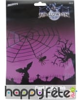 Grande toile d'araignée, image 1