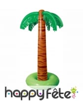 Ile et Palmier gonflable