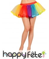 Jupon en tulle multicolore de 25cm