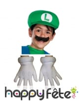 Kit de déguisement Luigi, Mario Bross, image 1