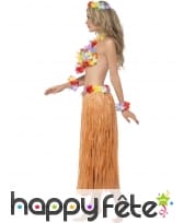 Kit danseuse hawaienne, image 2