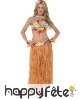 Kit danseuse hawaienne