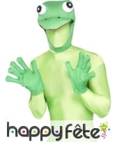 Kit grenouille, image 1