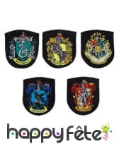 Les 5 écussons de Poudlard, Harry Potter