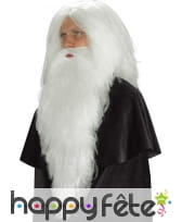 Longue barbe blanche de 65cm, image 1
