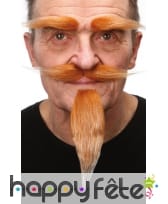 Long bouc, moustache et sourcils roux