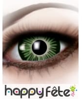 Lentilles camaieu de vert, image 2