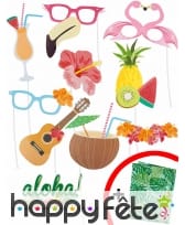 Lot de 10 photobooth style hawaïen