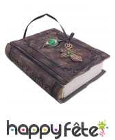 Livre de sorcier animé, lumineux 26x22cm