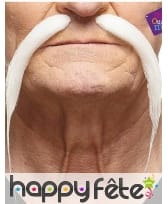 Longues et fines moustaches blanches chinoises