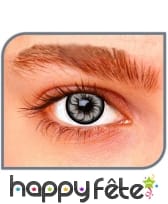 Lentilles fleur grise